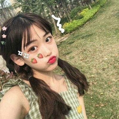 戆子记